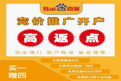 百度竞价托管：案例中的优化策略